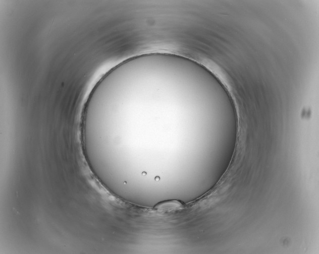 X0000093601104200710291138