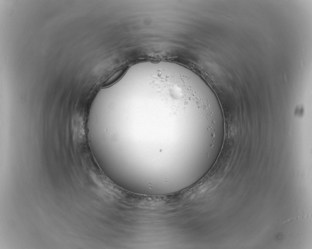 X0000093601106200710291138