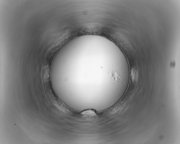 X0000093601107200710291138