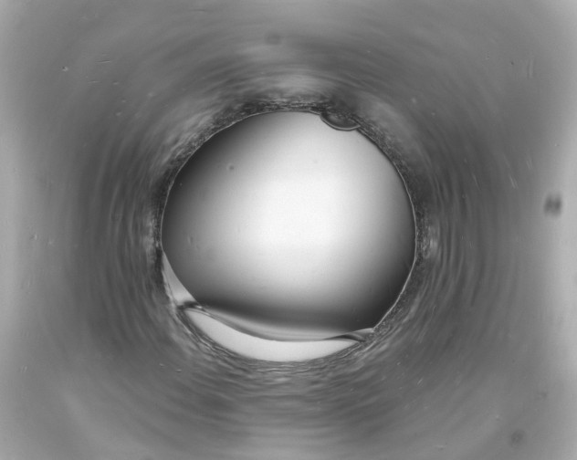 X0000093601108200710291138