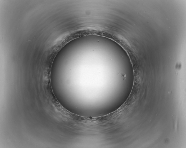 X0000093601110200710291138