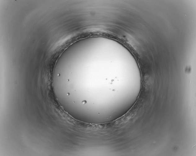 X0000093601111200710291138