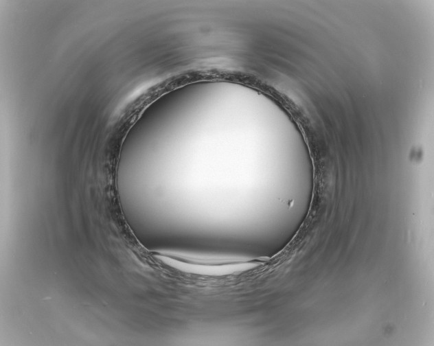 X0000093601112200710291138