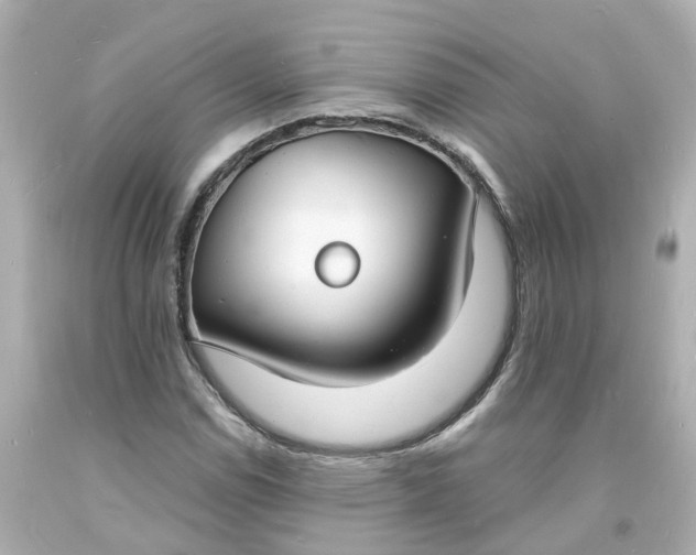 X0000093601114200710291138