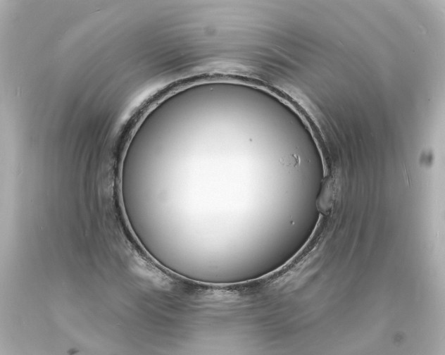 X0000093601115200710291138