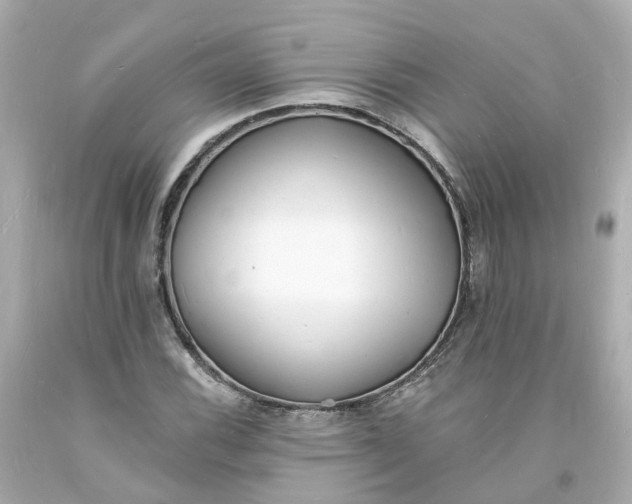 X0000093601116200710291138