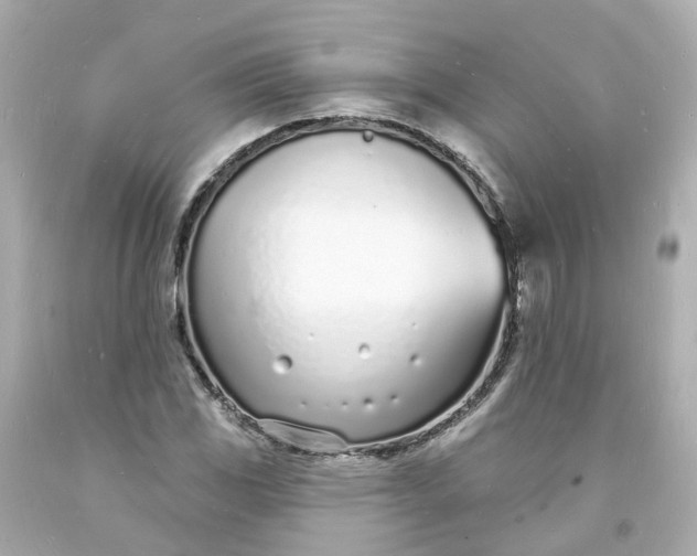 X0000093601117200710291138