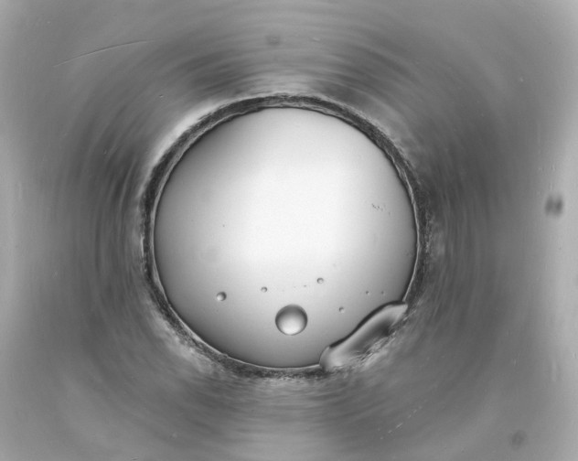 X0000093601118200710291138