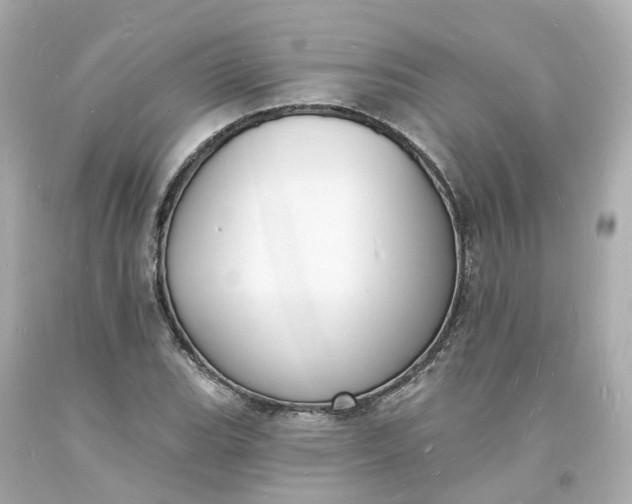 X0000093601119200710291138