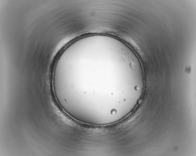 X0000093601122200710291138