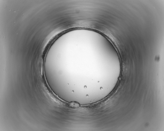 X0000093601123200710291138