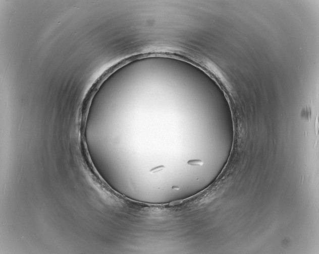 X0000093601124200710291138