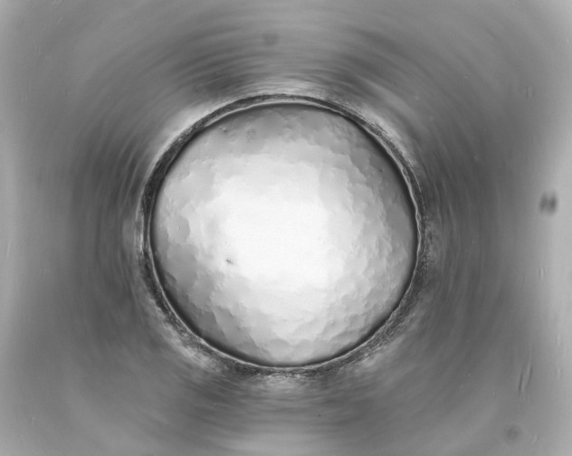 X0000093601125200710291138