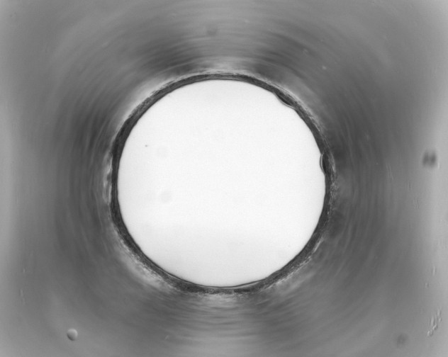 X0000093601126200710291138