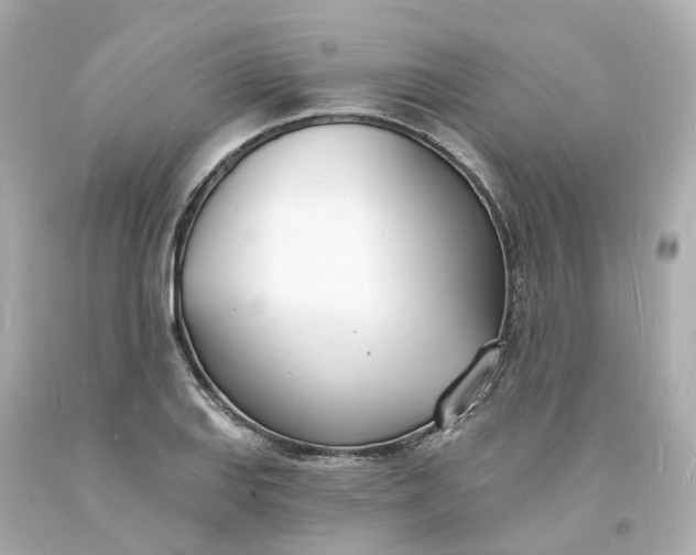 X0000093601127200710291138