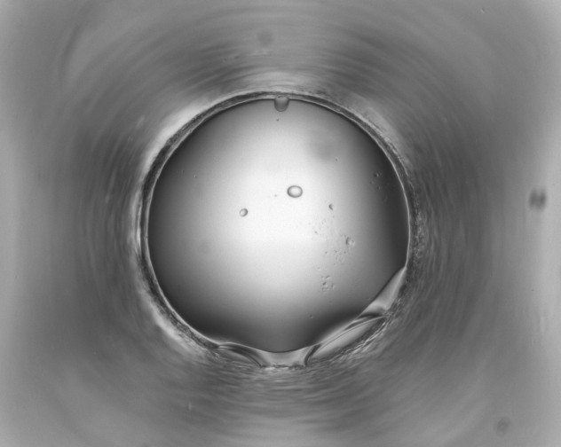 X0000093601128200710291138