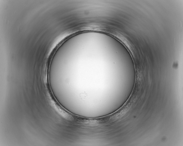 X0000093601131200710291138