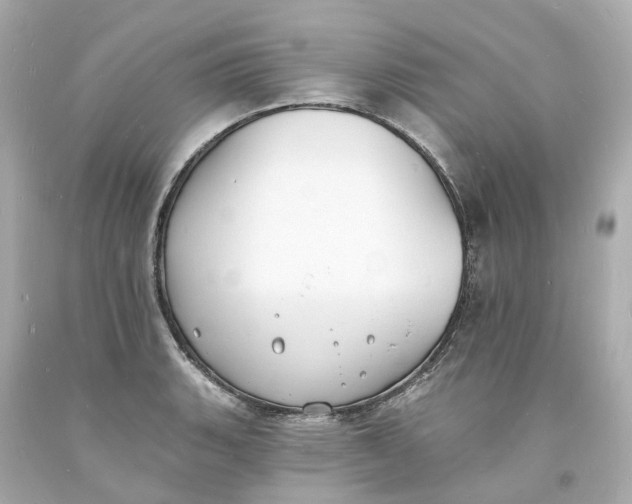 X0000093601135200710291138