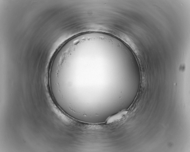 X0000093601136200710291138