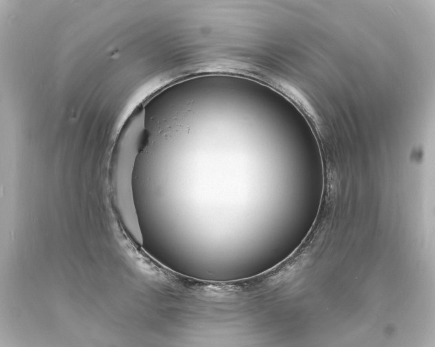 X0000093601138200710291138