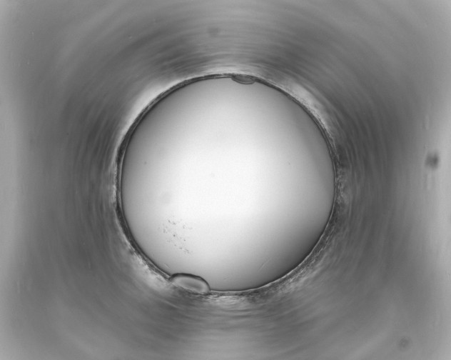 X0000093601140200710291138