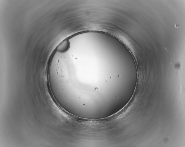 X0000093601141200710291138