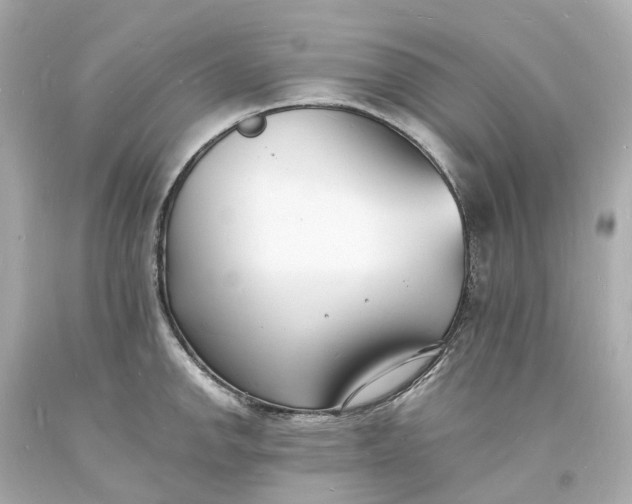 X0000093601142200710291138