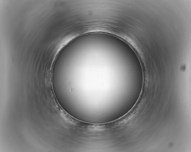 X0000093601145200710291138