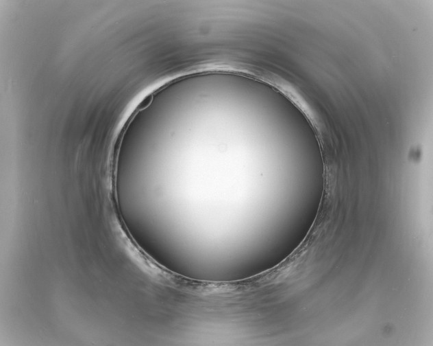 X0000093601148200710291138