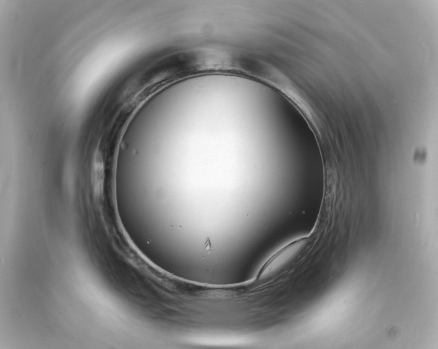 X0000093601151200710291138