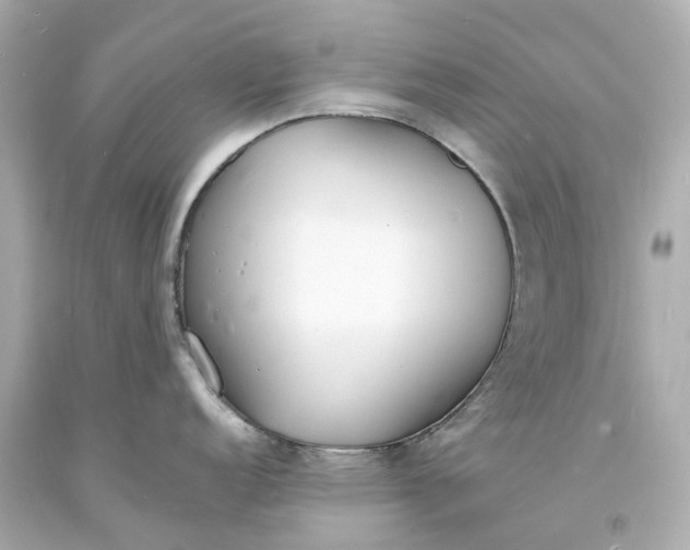 X0000093601152200710291138