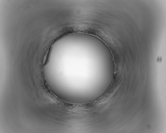 X0000093601153200710291138