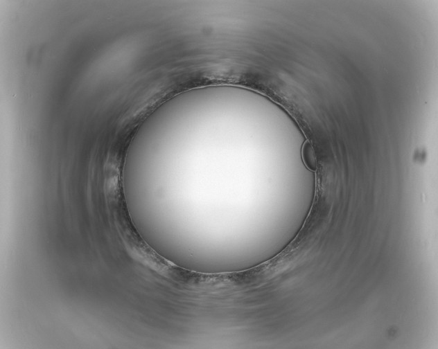 X0000093601154200710291138