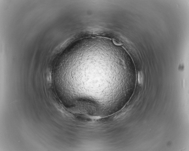 X0000093601155200710291138