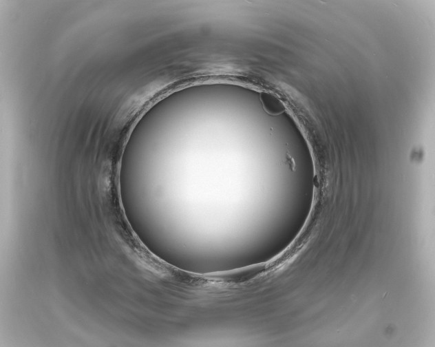 X0000093601161200710291137