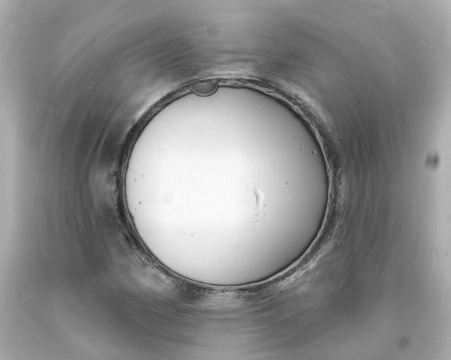 X0000093601162200710291137