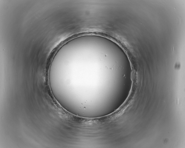 X0000093601165200710291137