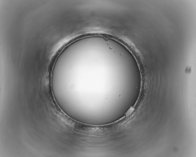 X0000093601167200710291137