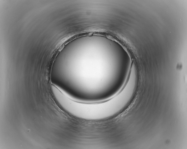 X0000093601169200710291137