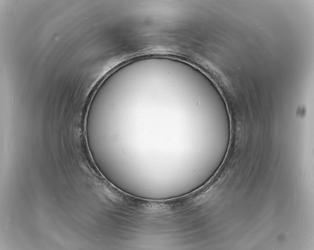 X0000093601170200710291137