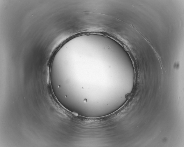 X0000093601171200710291137