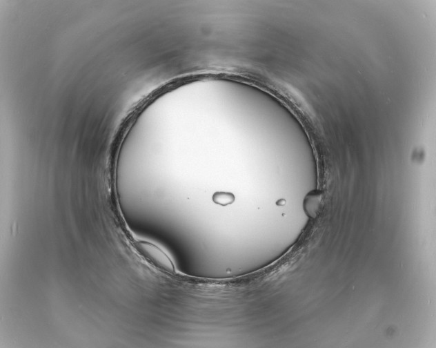 X0000093601172200710291137