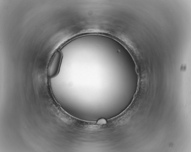 X0000093601173200710291137