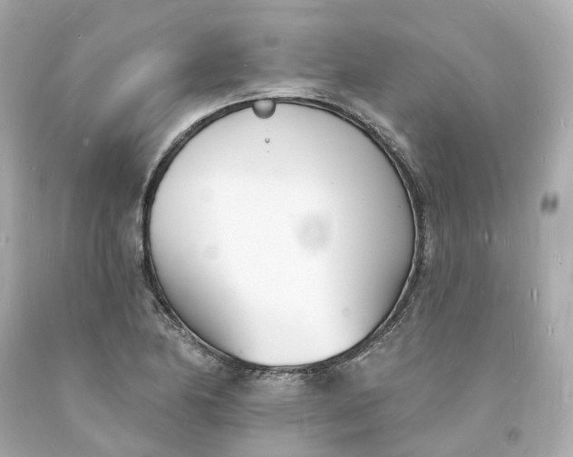 X0000093601174200710291137