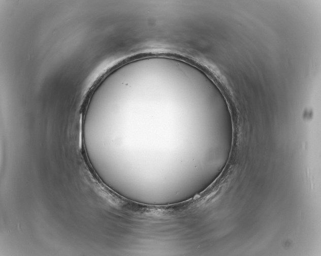 X0000093601175200710291137