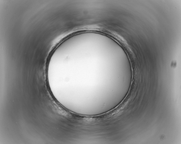 X0000093601176200710291137