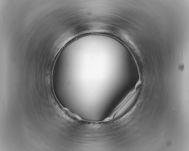 X0000093601177200710291137