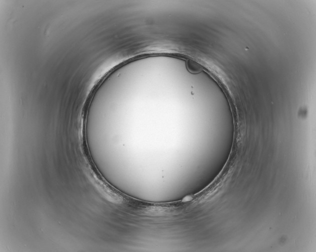 X0000093601179200710291137