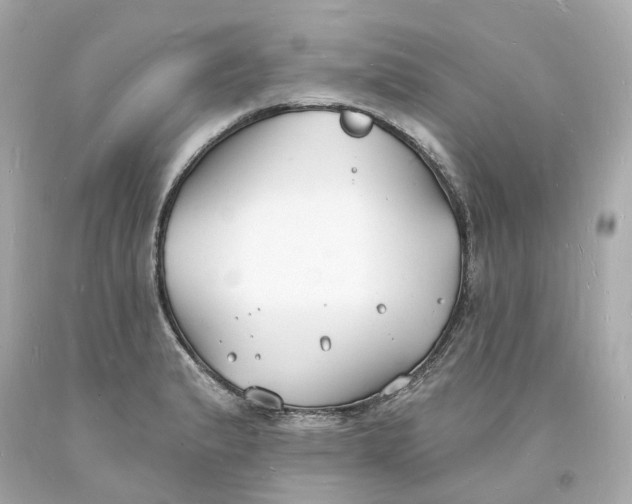 X0000093601183200710291137