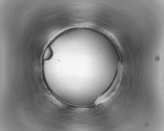 X0000093601184200710291137